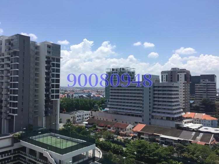 The Sea View (D15), Condominium #151391232